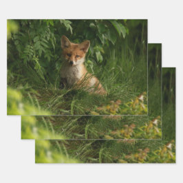 Schattigee Baby Fox in een groen bos Inpakpapier Vel