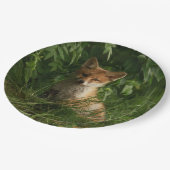 Schattigee Baby Fox in een groen bos Papieren Bordje (Gekanteld)