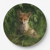 Schattigee Baby Fox in een groen bos Papieren Bordje (Voorkant)