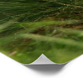 Schattigee Baby Fox in een groen bos Poster (Hoek)