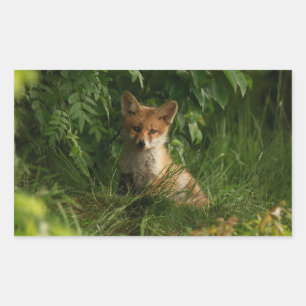 Schattigee Baby Fox in een groen bos Rechthoekige Sticker