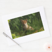 Schattigee Baby Fox in een groen bos Rechthoekige Sticker (Envelop)