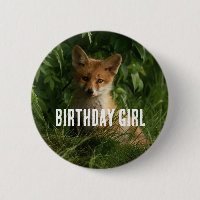 Schattigee Baby Fox in een groen bos