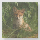 Schattigee Baby Fox in een groen bos Stenen Onderzetter (Voorkant)