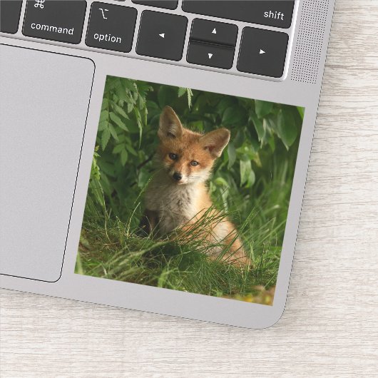 Schattigee Baby Fox in een groen bos Sticker (Detail)