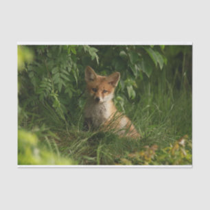 Schattigee Baby Fox in een groen bos Tissuepapier