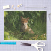 Schattigee Baby Fox in een groen bos Tissuepapier (Craft)