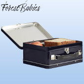 Schattigee Baby Fox kinder Wildlife Dierlijke Cart