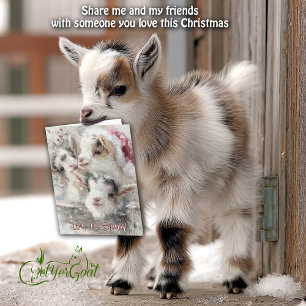 Schattigee Baby Geiten - Sneeuwbaby's 6 Kerstmis Feestdagen Kaart