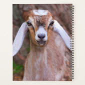 Schattigee Baby Goat Custom Planner (Achterkant)