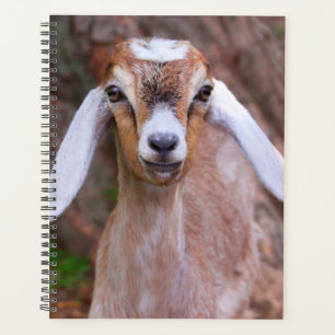 Schattigee Baby Goat Custom Planner