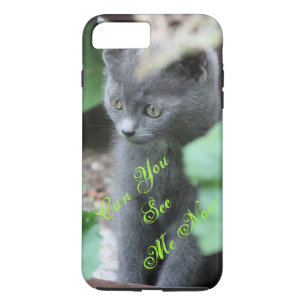 Schattigee Baby Grey Kitten iPhone Hoesje