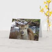 Schattigee Baby Herten Groeten Kaart Tekst toevoeg (Gele Bloem)