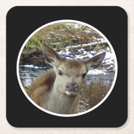 Schattigee Baby Herten Poses voor de Camera Papier Kartonnen Onderzetters