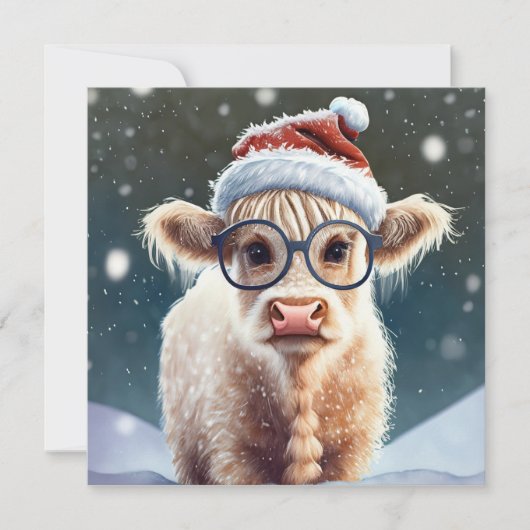 Schattigee baby Highland Koe in de sneeuw (Voorkant)