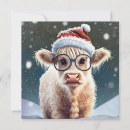 Schattigee baby Highland Koe in de sneeuw