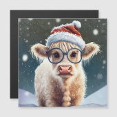 Schattigee baby Highland Koe in de sneeuw (Voorkant / Achterkant)