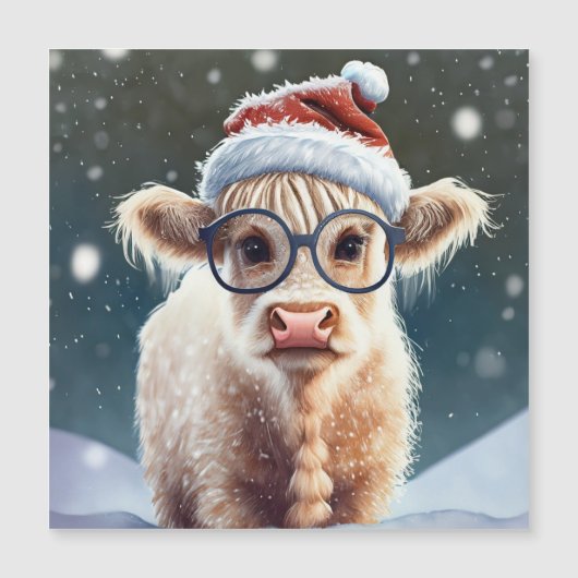 Schattigee baby Highland Koe in de sneeuw (Voorkant)