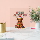 Schattigee Baby Highland Koe met kerstverlichting Acryl Bord (Huwelijk)