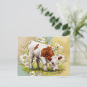 Schattigee Baby Koe in een veld van Daisies Flower Briefkaart (Staand voorkant)