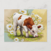 Schattigee Baby Koe in een veld van Daisies Flower Briefkaart (Voorkant)