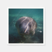 Schattigee baby Manatee 50 papieren servetten (Voorkant)