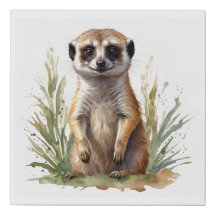 Schattigee baby meerkat, waterverf op