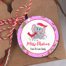 Schattigee Baby olifant met dierentuindieren in he