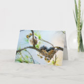 Schattigee Baby Owls Blank All Occasion Feestdagen Kaart (Voorkant)