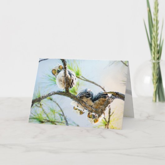Schattigee Baby Owls Blank All Occasion Feestdagen Kaart (Voorkant)