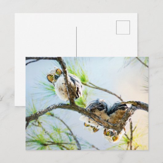 Schattigee Baby Owls Blank All Occasion Feestdagenkaart (Voorkant / Achterkant)