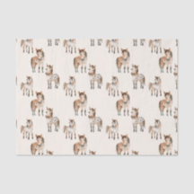 Schattigee baby paarden
