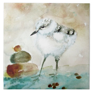Schattigee Baby Plover Keramische Keuken Tegel Tegeltje