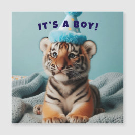 Schattigee Baby Reveal Boy Baby Tiger