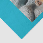 Schattigee Baby Reveal Boy Blue Baby Tiger Tissuepapier (Detail)