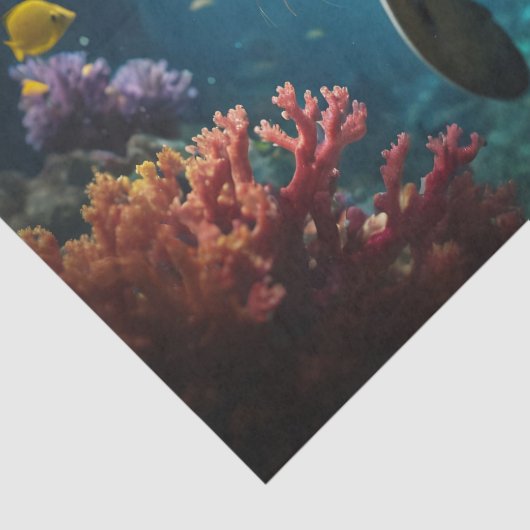 Schattigee Baby Seal Close-up - Decoupage - Tissuepapier (Detail)