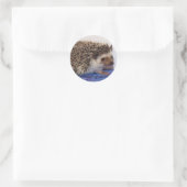 Schattigee baby sticker (Tas)