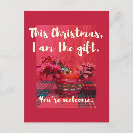 Schattigee Baby Sulcata schildpad in poinsettia ma Briefkaart (Voorkant)