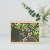 Schattigee Baby Tiger DIY Briefkaart (Staand voorkant)