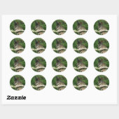 Schattigee Baby Wallaby Ronde Sticker (Vel)
