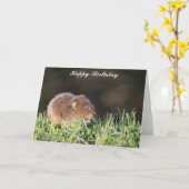 Schattigee Baby Water Vole Verjaardag Kaart (Gele Bloem)