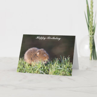 Schattigee Baby Water Vole Verjaardag Kaart
