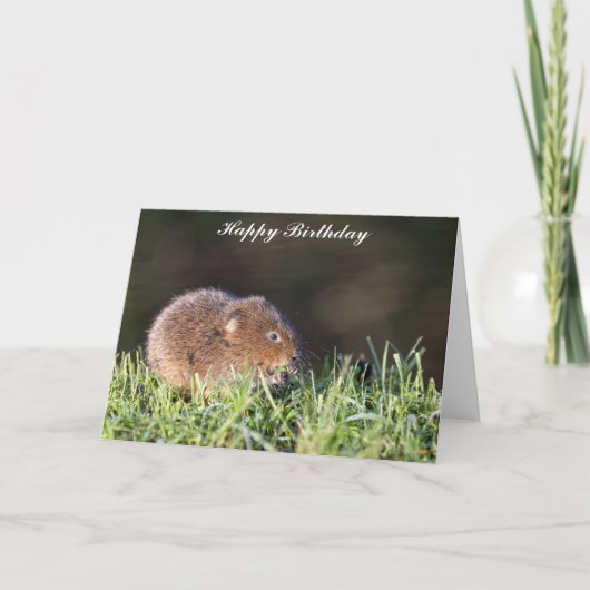 Schattigee Baby Water Vole Verjaardag Kaart (Voorkant)