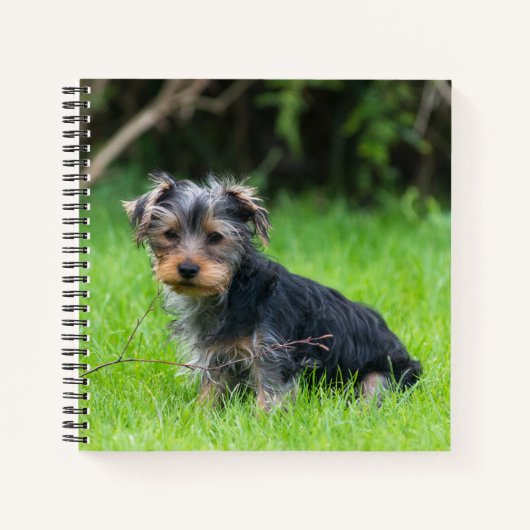 Schattigee baby Yorkshire terrier puppy droevige o Notitieboek (Voorkant)