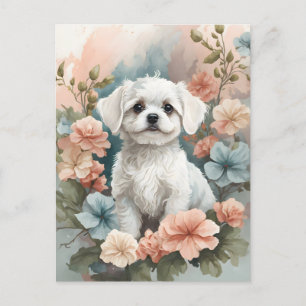 Schattigee babydieren Schattigee witte maltese p Briefkaart