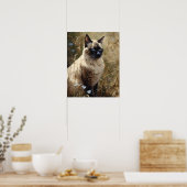 Schattigee Balinese kat Art Print Poster (Keuken)