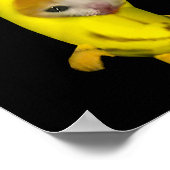 Schattigee bananenkat Happy Bananacat Meme Kitty C Poster (Hoek)