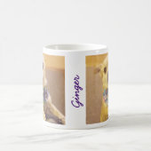 Schattigee Bandana Chihuahua Pet Custom Koffiemok (Center)