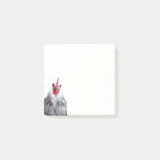 Schattigee Bantam Cochin Hen Photo Note Pad (Voorkant)