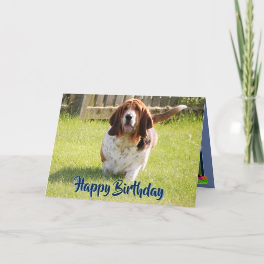 Schattigee Basset Hound op Grappige Verjaardag Kaa Kaart (Voorkant)